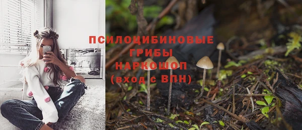 а пвп мука Беломорск