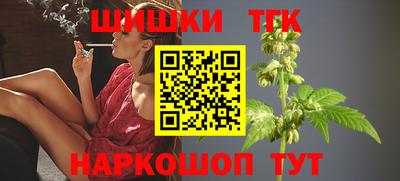 дживик Моздок
