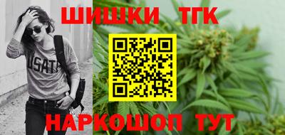 дживик Моздок