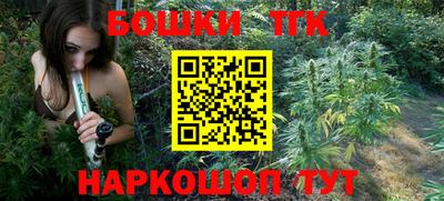 дживик Моздок