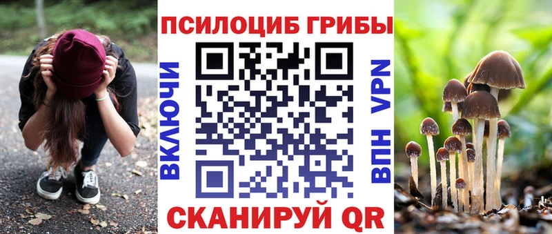 наркота  Верхняя Пышма  Галлюциногенные грибы GOLDEN TEACHER 